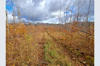 Vl Mancelona Road, Mancelona, MI 49659 - Photo 7