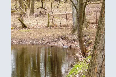 273 Raymond Drive, Coldwater, MI 49036 - Photo 7