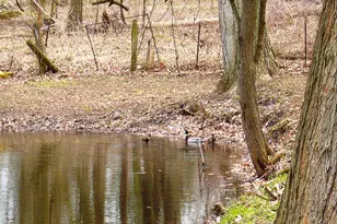 273 Raymond Dr, Coldwater, MI 49036 - Photo 7