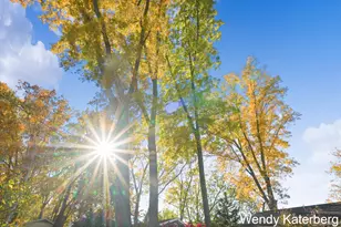 4593 Brooklyn Ave SE, Kentwood, MI 49508 - Photo 33