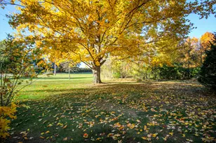 303 Spring St, Constantine, MI 49042 - Photo 27