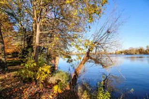 303 Spring St, Constantine, MI 49042 - Photo 21