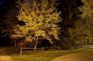 4327 Pier Rd, Benton Harbor, MI 49022 - Photo 9