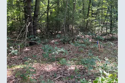 6440 Gaslight Circle, Saugatuck, MI 49453 - Photo 5