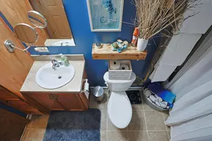 66082 Victoria Ln, Cassopolis, MI 49031 - Photo 53