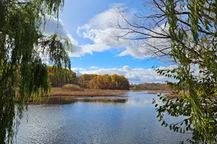 121 Davis Lake Rd, Lapeer, MI 48446 - Photo 9