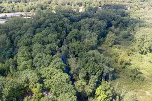 16800 Riverside Dr, Union Pier, MI 49129 - Photo 21