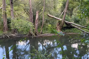 16800 Riverside Dr, Union Pier, MI 49129 - Photo 23