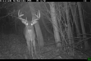 14220 N Beech Ave, Reed City, MI 49677 - Photo 35