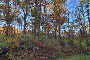 0 Harbor Dr, Pentwater, MI 49449 - Photo 3