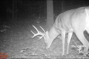 7504 Lincoln Lake Rd NE, Belding, MI 48809 - Photo 41