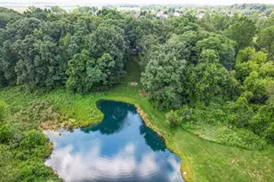 60 Timber Ridge Ct, Milan, MI 48160 - Photo 101