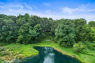 60 Timber Ridge Ct, Milan, MI 48160 - Photo 107