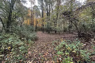 4680 Fitzpatrick Rd, Hillsdale, MI 49242 - Photo 65