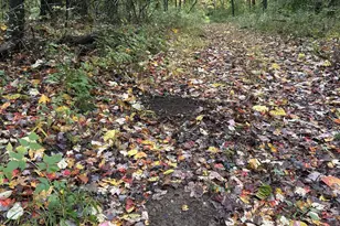 4680 Fitzpatrick Rd, Hillsdale, MI 49242 - Photo 59