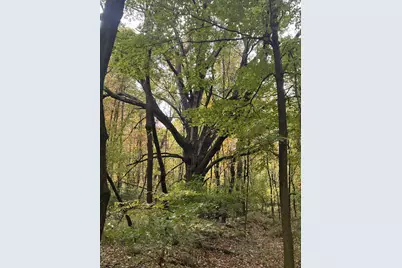 4680 Fitzpatrick Road, Hillsdale, MI 49242 - Photo 49