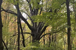 4680 Fitzpatrick Rd, Hillsdale, MI 49242 - Photo 49