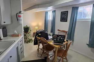 308 S Mechanic St, Berrien Springs, MI 49103 - Photo 45