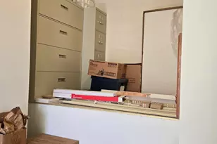 308 S Mechanic St, Berrien Springs, MI 49103 - Photo 49