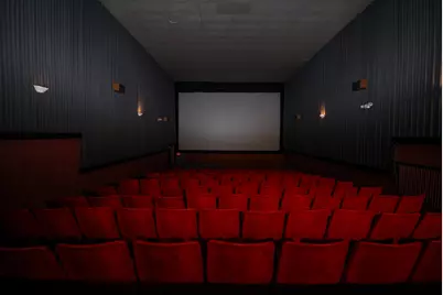 219 W Chicago Road, Sturgis, MI 49091 - Photo 15