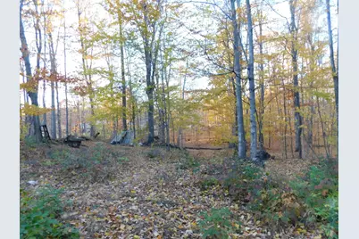 14638 Pleasanton Highway, Bear Lake, MI 49614 - Photo 7