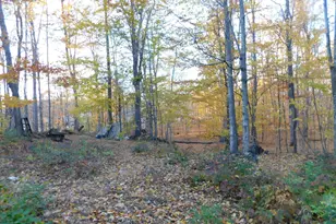 14638 Pleasanton Hwy, Bear Lake, MI 49614 - Photo 7