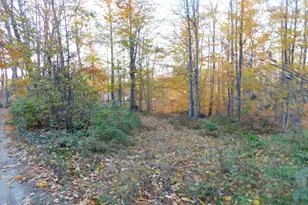 14638 Pleasanton Hwy, Bear Lake, MI 49614 - Photo 5