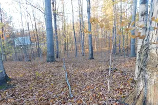 14638 Pleasanton Hwy, Bear Lake, MI 49614 - Photo 11