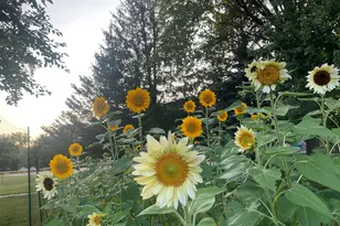 501 Oakleigh Road NW, Grand Rapids, MI 49504 - Photo 69