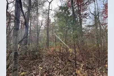 438 E 32nd Street, Baldwin, MI 49304 - Photo 39