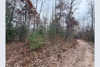 438 E 32nd Street, Baldwin, MI 49304 - Photo 33