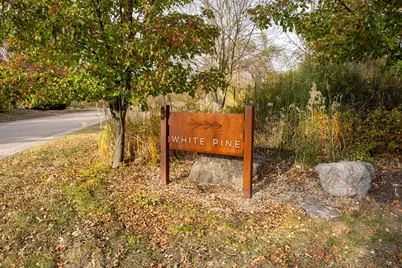 19253 White Pine Drive #2, New Buffalo, MI 49117 - Photo 1