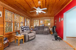 3494 Bradford Rd, Ionia, MI 48846 - Photo 15