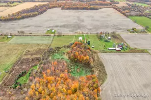 3494 Bradford Rd, Ionia, MI 48846 - Photo 41