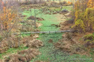 3494 Bradford Rd, Ionia, MI 48846 - Photo 41