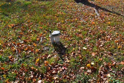 6229 N Becht Road, Coloma, MI 49038 - Photo 5