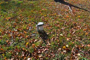 6229 N Becht Rd, Coloma, MI 49038 - Photo 5