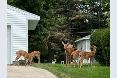 307 N Ferry Street, Ludington, MI 49431 - Photo 33