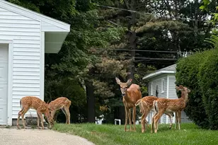 307 N Ferry St, Ludington, MI 49431 - Photo 33