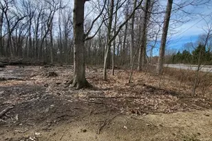 16351 Red Arrow Hwy, Union Pier, MI 49129 - Photo 19