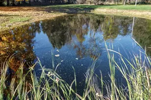 229 E Howard City Edmore Rd, Edmore, MI 48829 - Photo 43