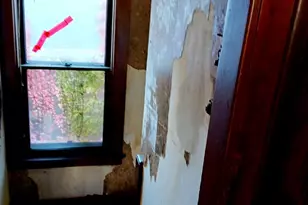 967 Continental St, Detroit, MI 48215 - Photo 27