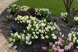 70825 Adamsville Rd, Edwardsburg, MI 49112 - Photo 49