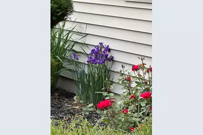 70825 Adamsville Road, Edwardsburg, MI 49112 - Photo 47