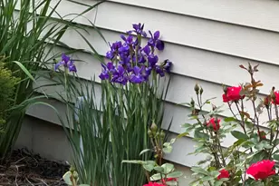 70825 Adamsville Rd, Edwardsburg, MI 49112 - Photo 47