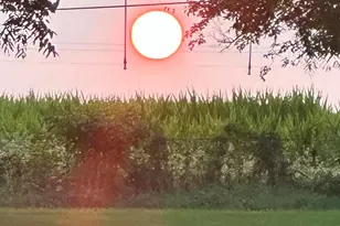 70825 Adamsville Rd, Edwardsburg, MI 49112 - Photo 55