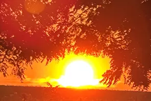 70825 Adamsville Rd, Edwardsburg, MI 49112 - Photo 45