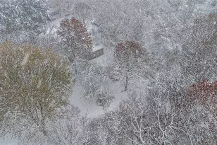 1230 Thomson Rd, Niles, MI 49120 - Photo 39