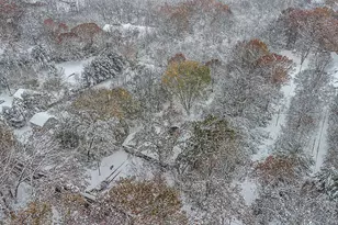 1230 Thomson Rd, Niles, MI 49120 - Photo 41