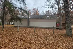 11988 S Shady Grove Dr, Baldwin, MI 49304 - Photo 7